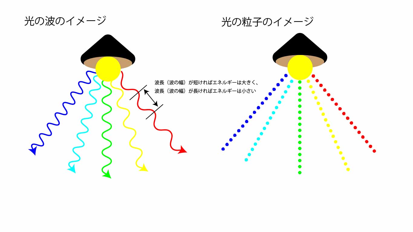 理化学における光 | 旭光通商株式会社