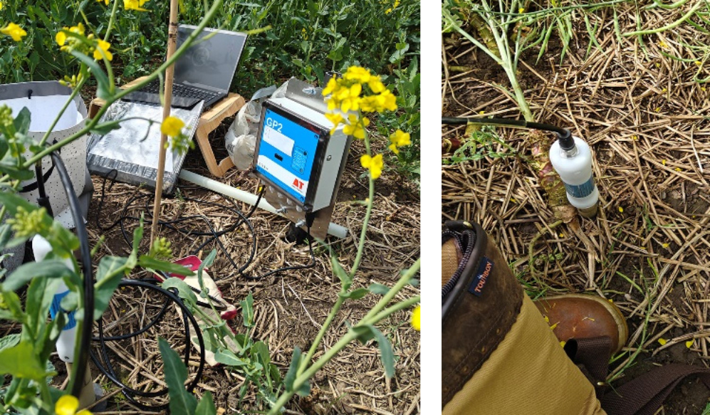 The Jena Experiment field site showing artificial grassland plots