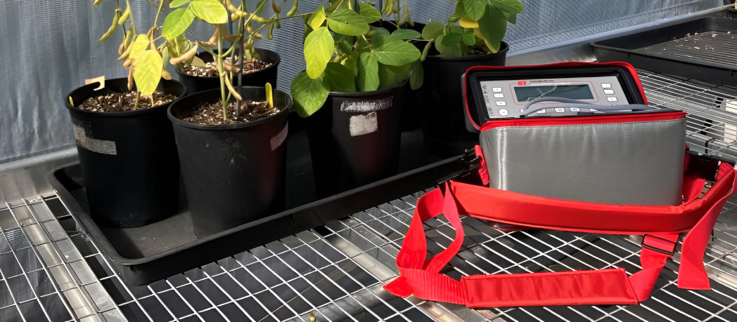 Soybean research at Royal Botanic Gardens, Kew