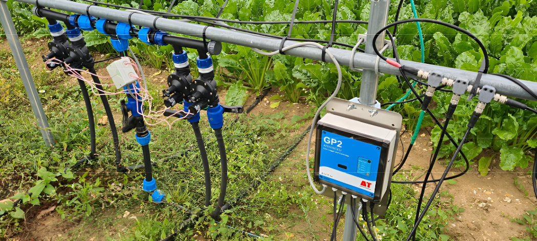 Sugar beet drought resistance research at BBRO