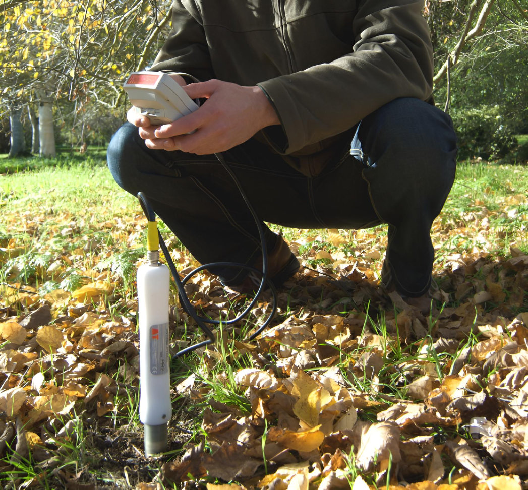 Soybean research at Royal Botanic Gardens, Kew