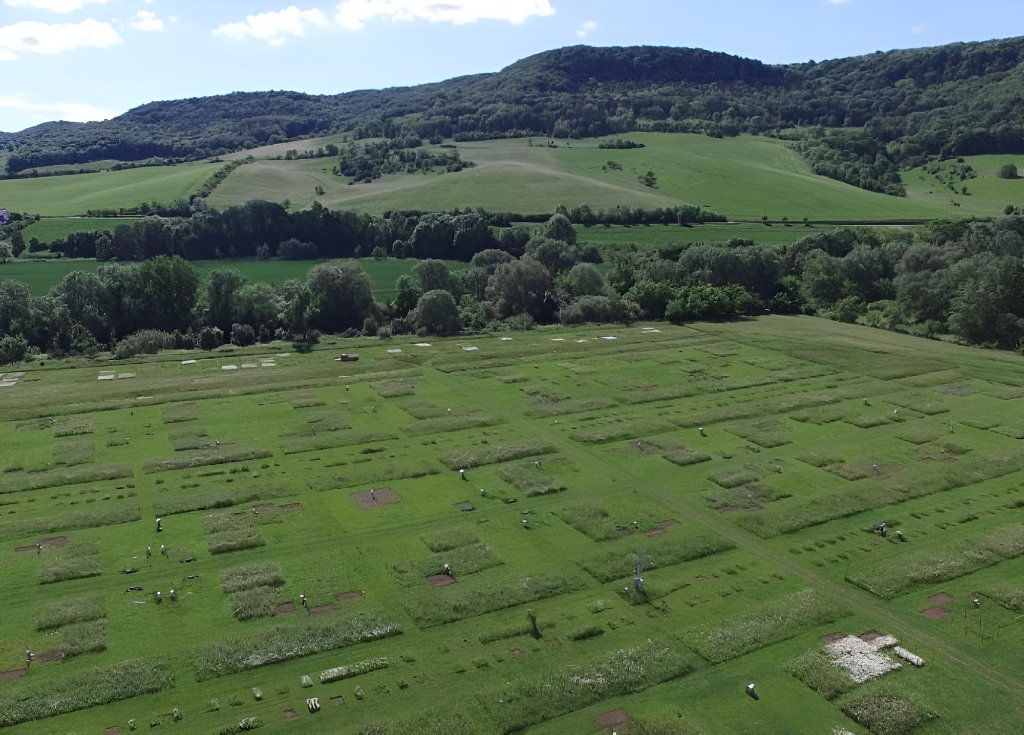 The Jena Experiment field site showing artificial grassland plots