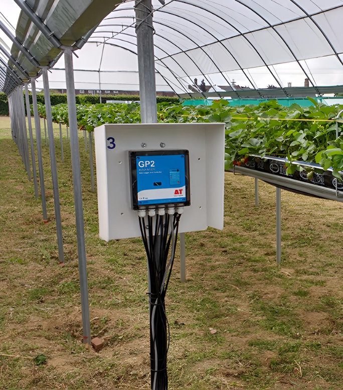 Soft fruit covering system research at KOB, Germany