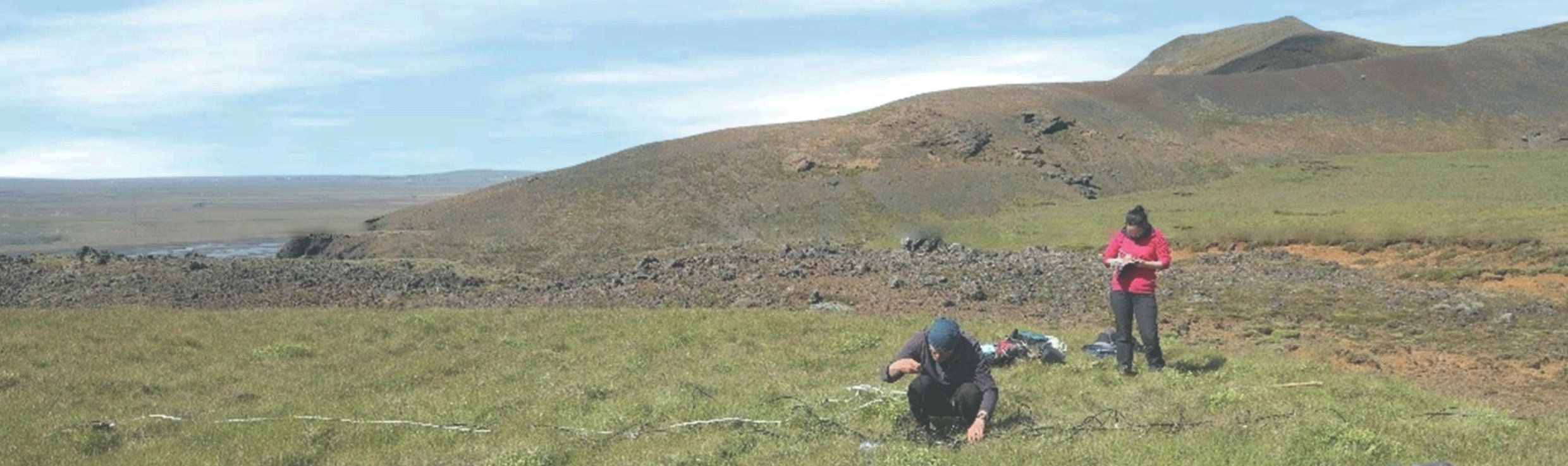 Soybean research at Royal Botanic Gardens, Kew