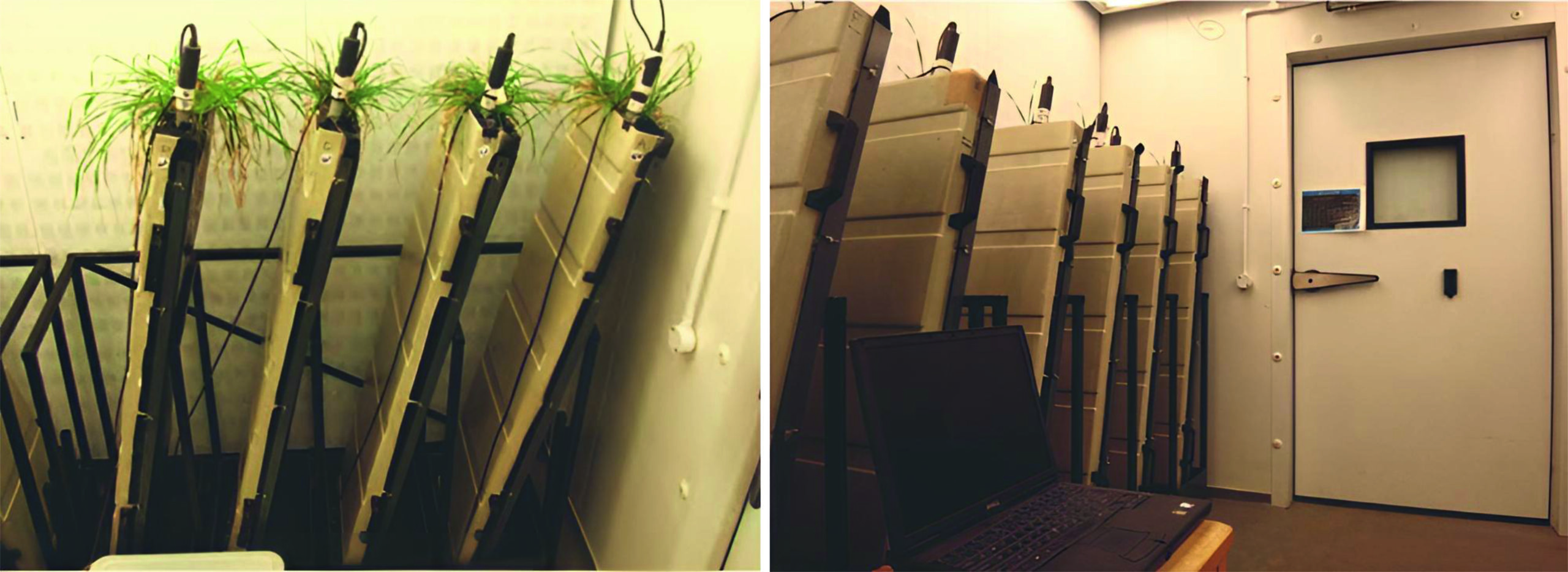 Sugar beet drought resistance research at BBRO