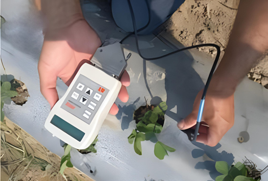 SBR high-tech strawberry greenhouse in Turkey