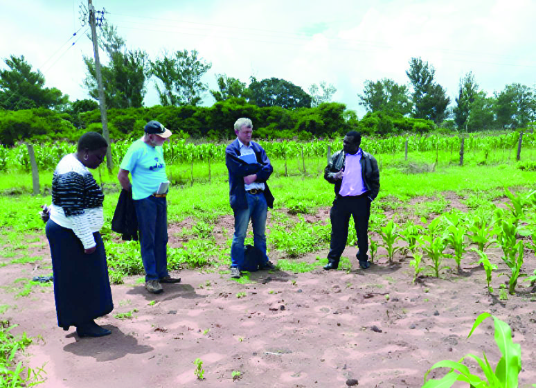 Sugar beet drought resistance research at BBRO