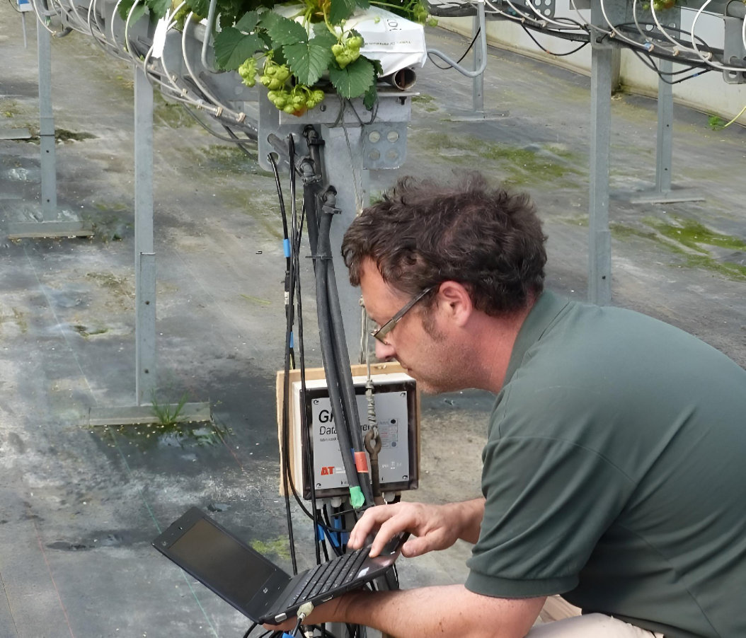 Soft fruit precision irrigation trials at East Malling Research