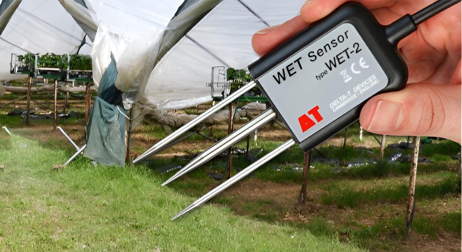 Soybean research at Royal Botanic Gardens, Kew