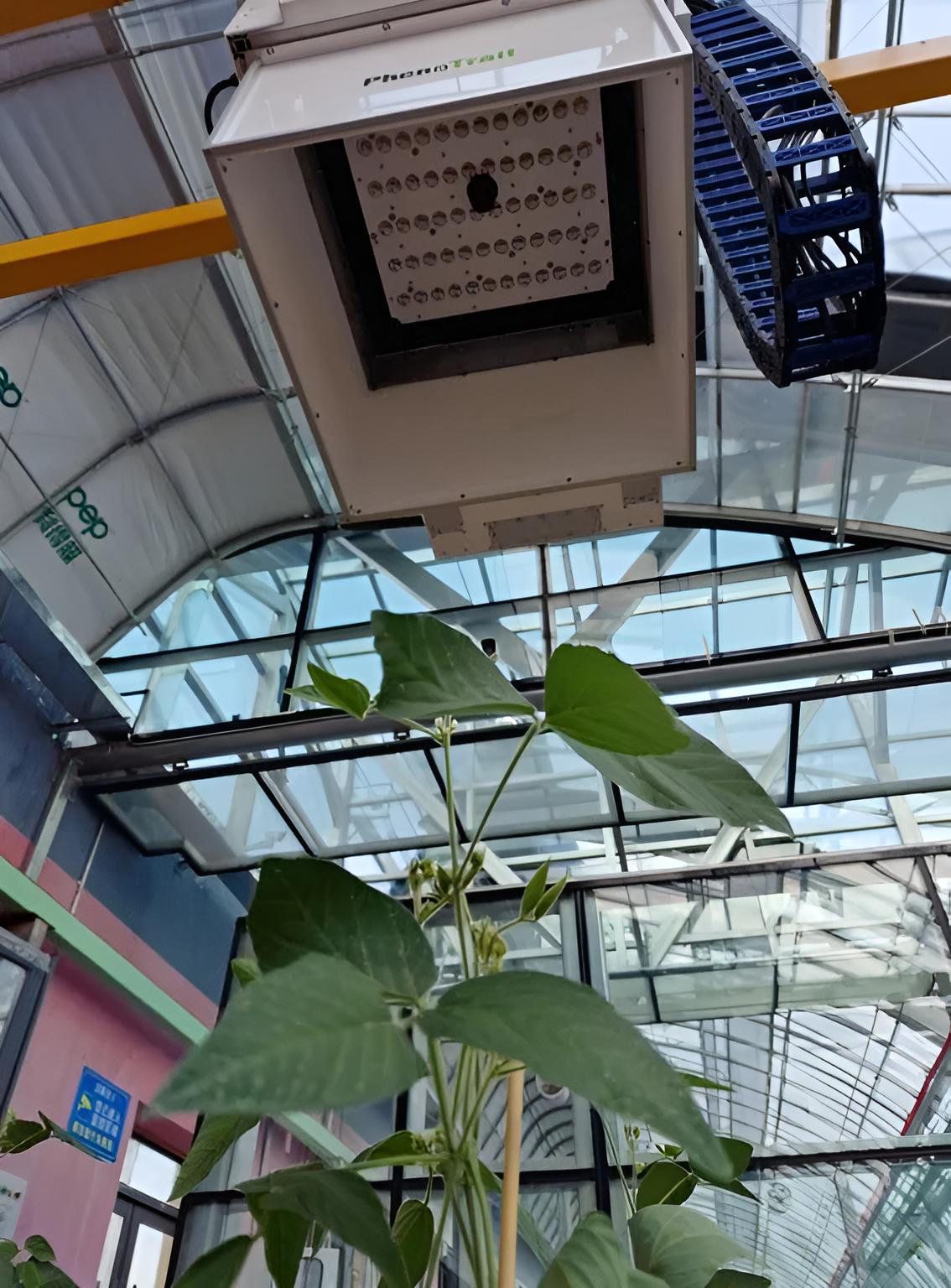 PlantExplorer 測定画面