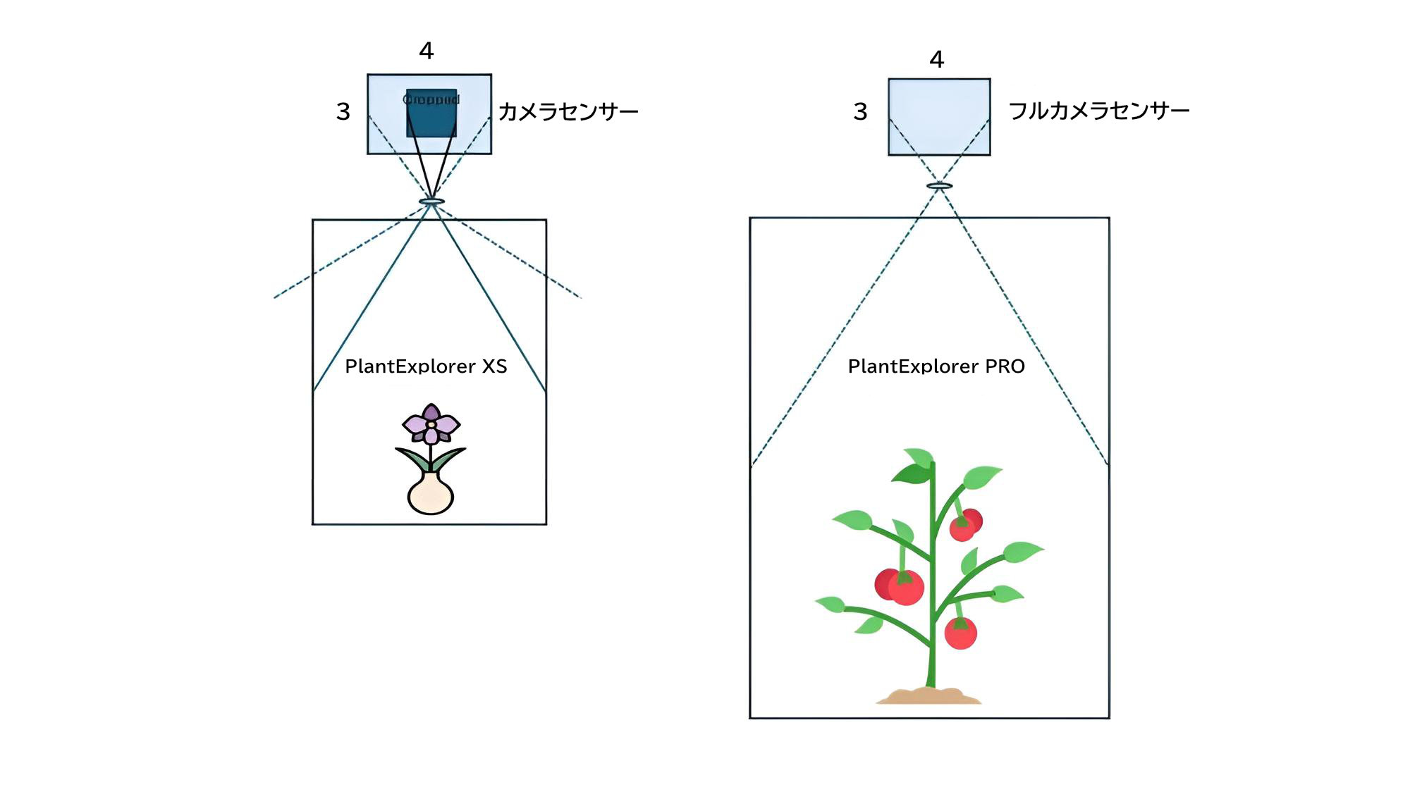 センサーのクロップ仕組み