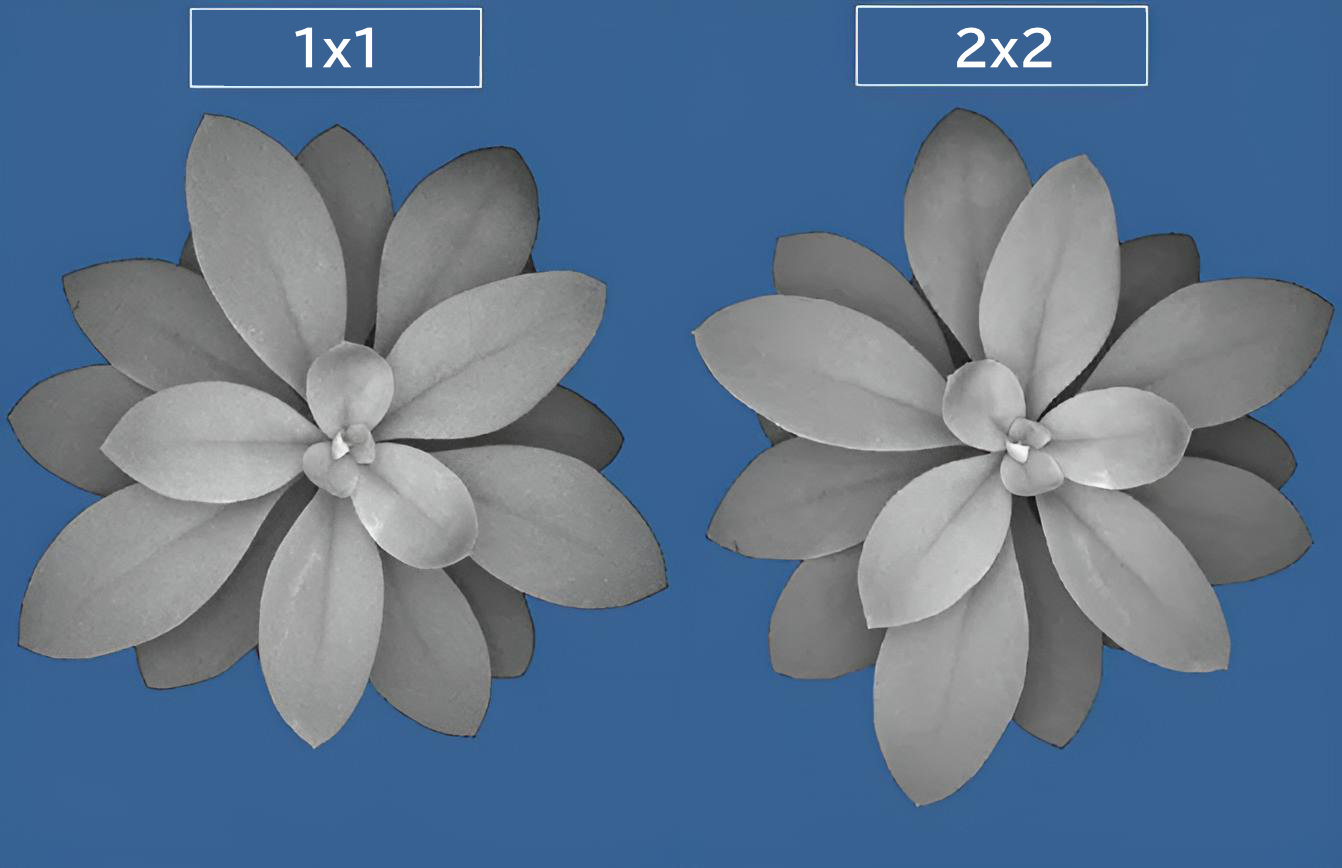 植物画像でのビニング比較1
