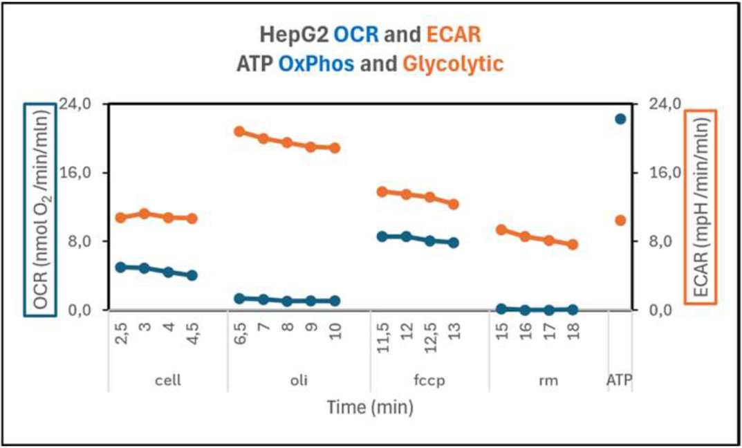 OCR6