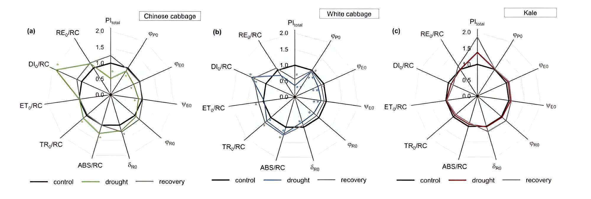 Fig2