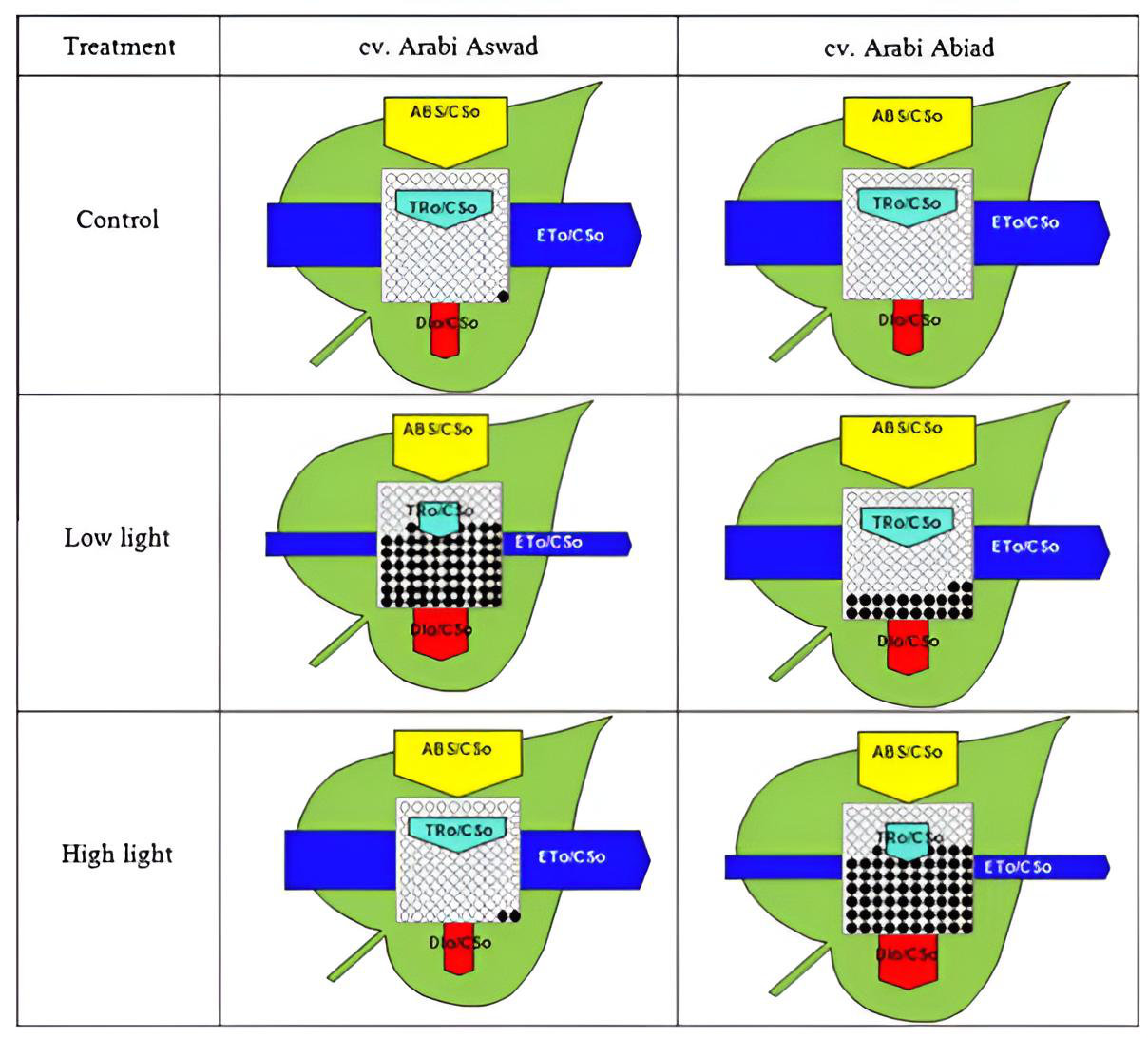 Fig3